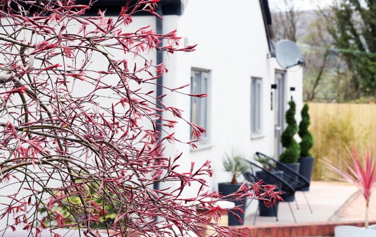 Pen-Y-Worlod Cottages Abergavenny Luaran gambar
